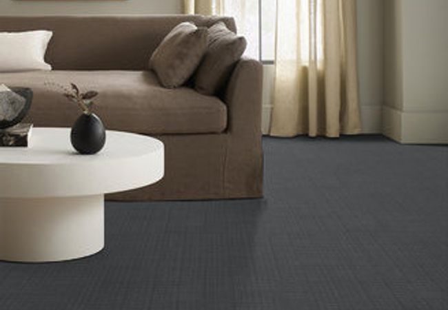 Anderson Tuftex Carpet Purrsuasion Waterloo view 2