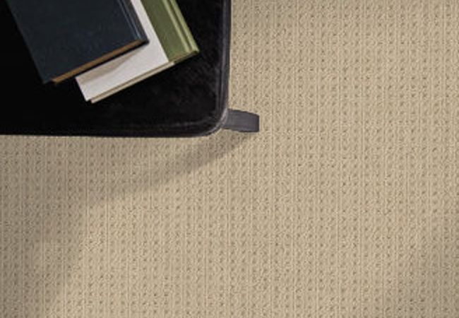 Anderson Tuftex Carpet San Lucas Golden view 2