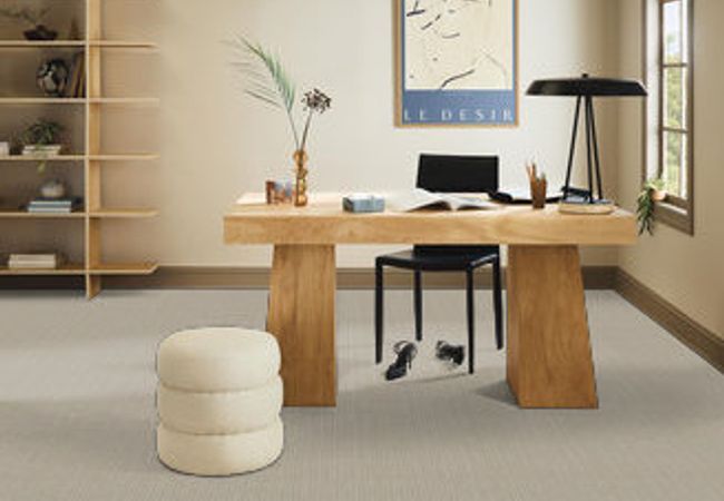 Anderson Tuftex Carpet San Lucas Pavestone view 2