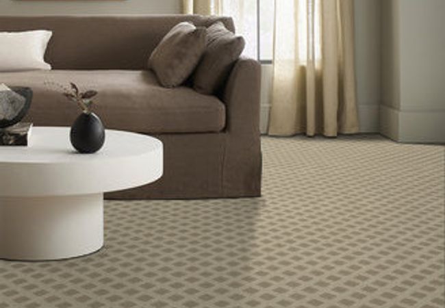 Anderson Tuftex Carpet Scout Sesame view 2