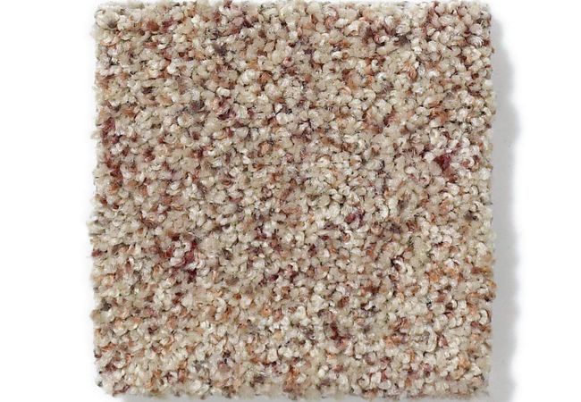 Anderson Tuftex - Serendipity II Berber