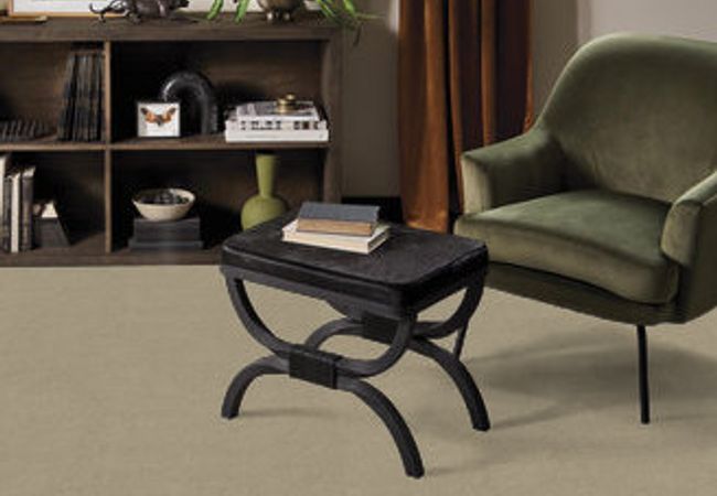 Anderson Tuftex Carpet Sketch Coronado view 2