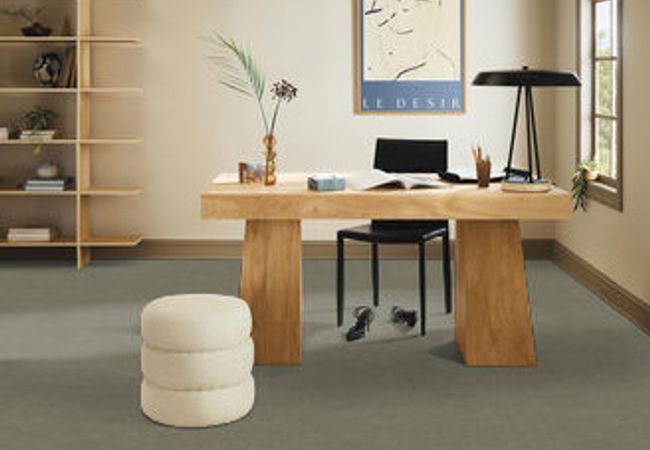 Anderson Tuftex Carpet Sketch Imperial view 2