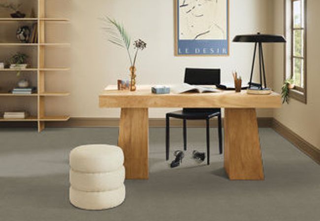 Anderson Tuftex Carpet Sketch Reflection view 2