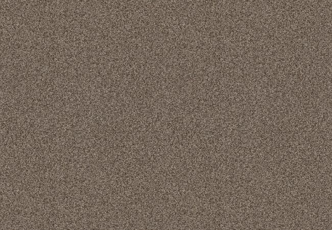 Anderson Tuftex Carpet Speak Desert Palm