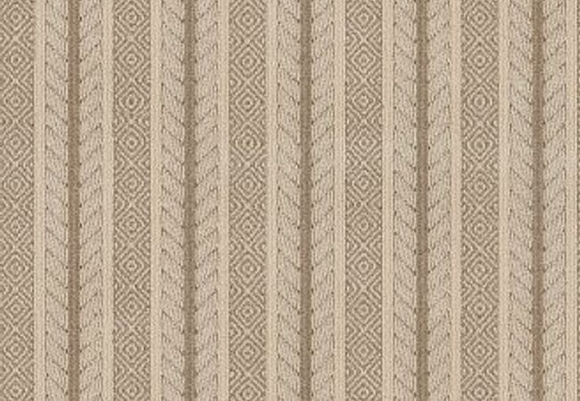 Anderson Tuftex Carpet Speak Sesame
