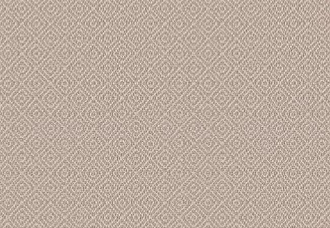 Anderson Tuftex Carpet Stroll Almond