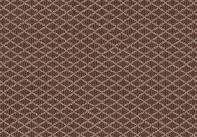 Anderson Tuftex Carpet Stroll Burnt Russet