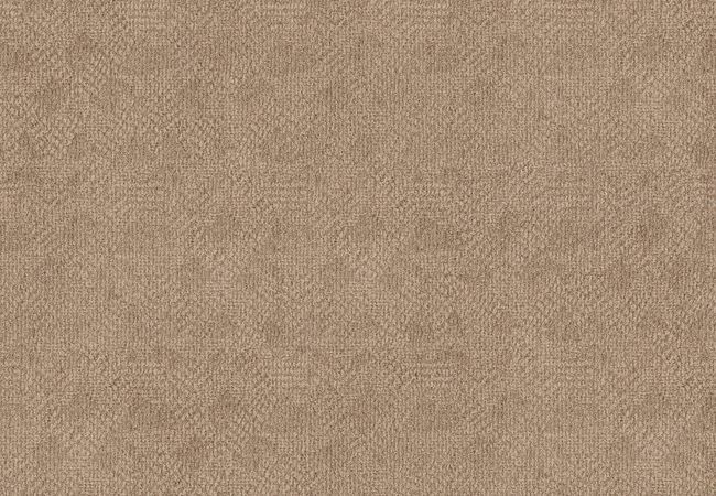 Anderson Tuftex Carpet Stroll Twilight Gold