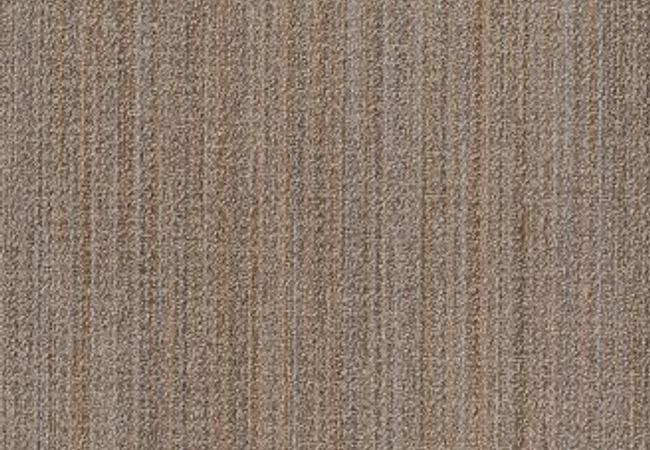 Anderson Tuftex Carpet Sundance Nomadic