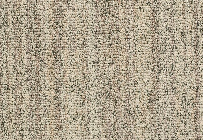 Anderson Tuftex Carpet Sundance Wild Oats