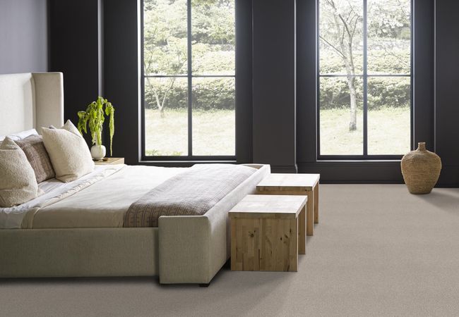 Anderson Tuftex Carpet Taza Misty Dawn view 3
