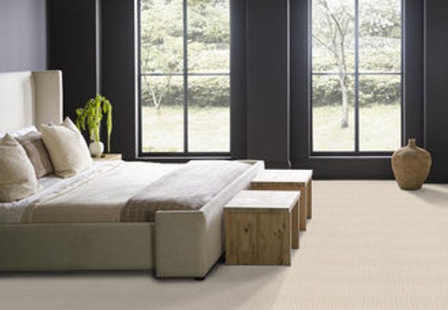 Anderson Tuftex Carpet Truly Delightful Blank Canvas view 3