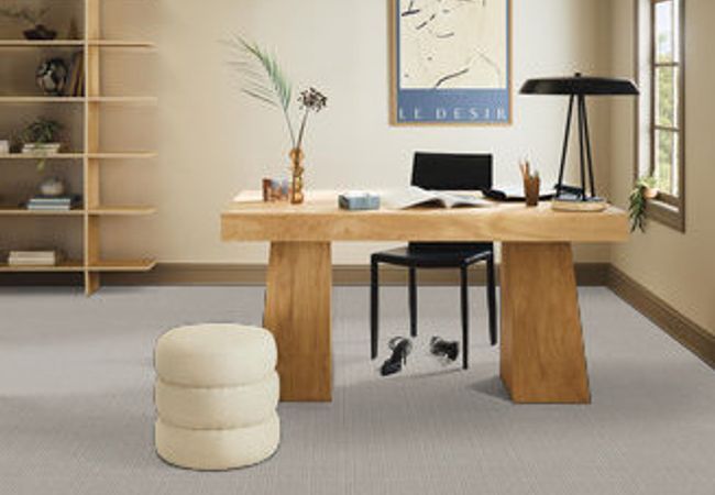 Anderson Tuftex Carpet Truly Delightful Chainlink view 2