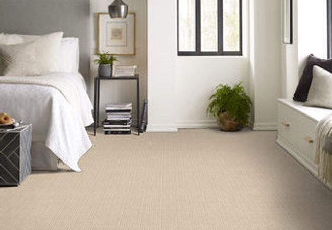 Anderson Tuftex Carpet Truly Delightful Down Feather view 2