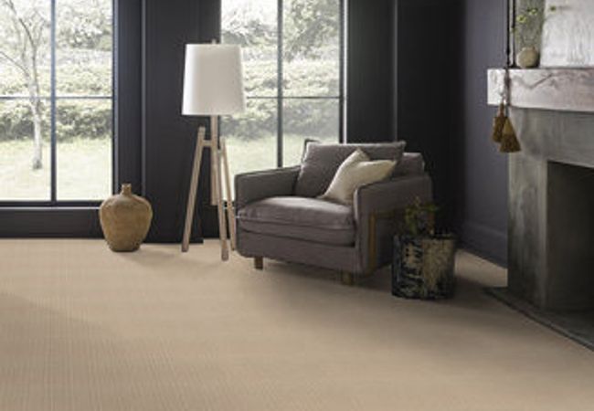 Anderson Tuftex Carpet Truly Delightful Granola view 2