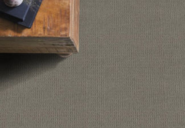 Anderson Tuftex Carpet Truly Delightful Shadow view 2