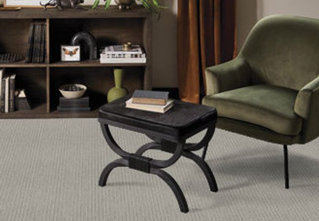 Anderson Tuftex Carpet Truly Delightful Silver view 2