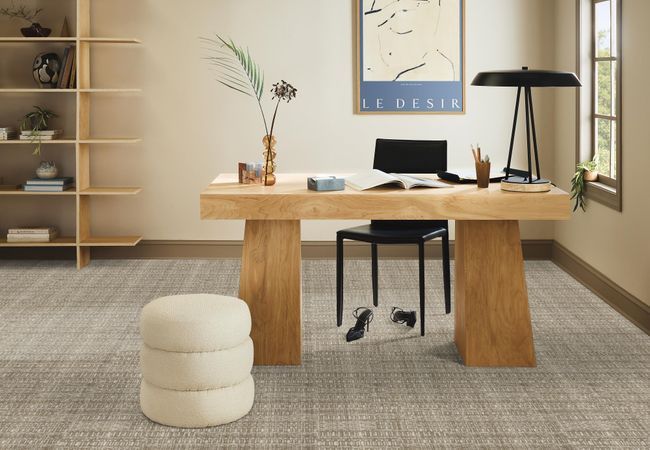Anderson Tuftex Carpet Truly Delightful Warm Light view 2