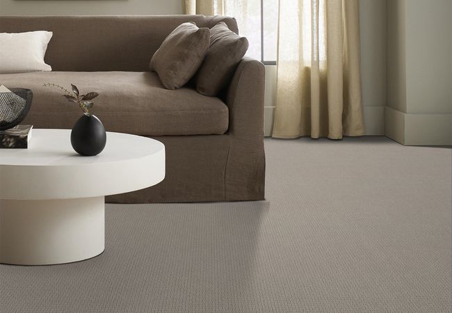 Anderson Tuftex Casual Life Cement view 2