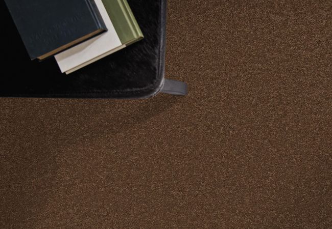 Anderson Tuftex Elegant Beauty Bronco view 2