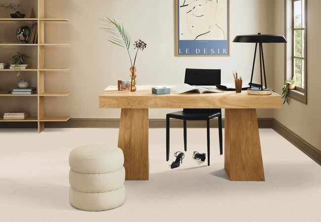 Anderson Tuftex Enchanting Angora view 2