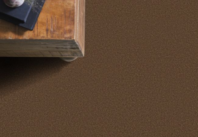 Anderson Tuftex Enduring Charm Bronco view 2