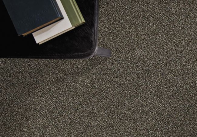 Anderson Tuftex Mollie's Turn Grizzly view 2