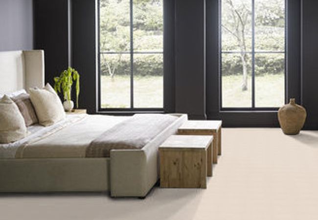 Anderson Tuftex Pawnache Barely Beige - Image 3