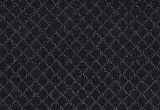 Anderson Tuftex Pawnache Night Shade