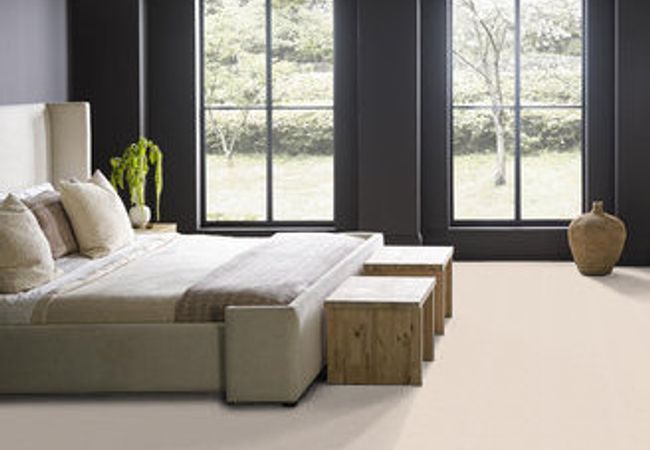 Anderson Tuftex Pawparazzi I Barely Beige view 3