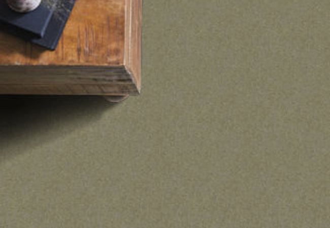 Anderson Tuftex Pawparazzi I Dry Sage view 2