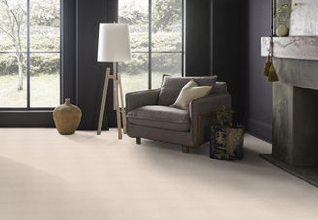 Anderson Tuftex Pawparazzi II