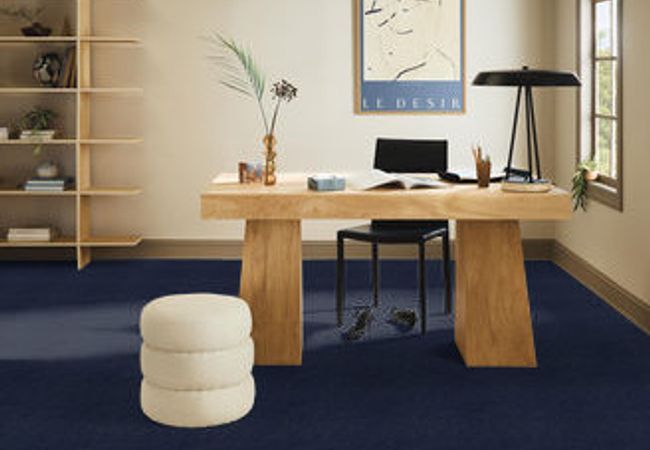 Anderson Tuftex Pawparazzi Ii Downpour view 2