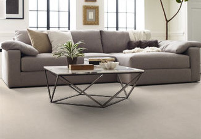 Anderson Tuftex Pawstruck Barely Beige view 2