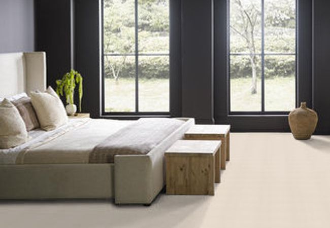 Anderson Tuftex Pawstruck Barely Beige view 3