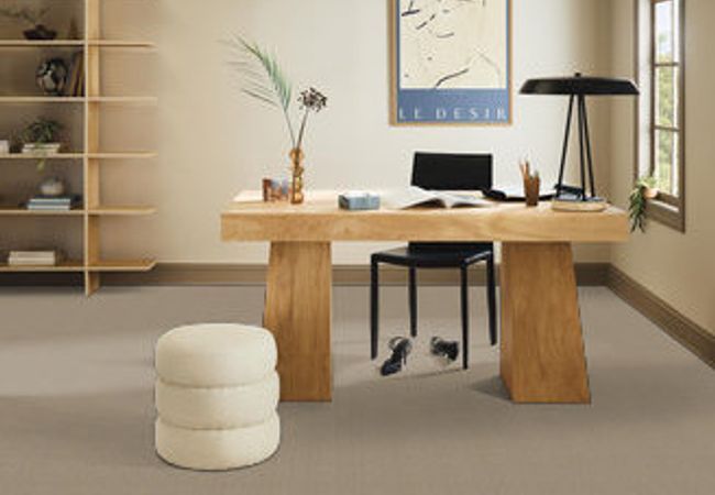 Anderson Tuftex Pawstruck Mocha Cream view 2