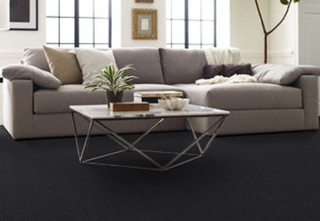 Anderson Tuftex Pawstruck