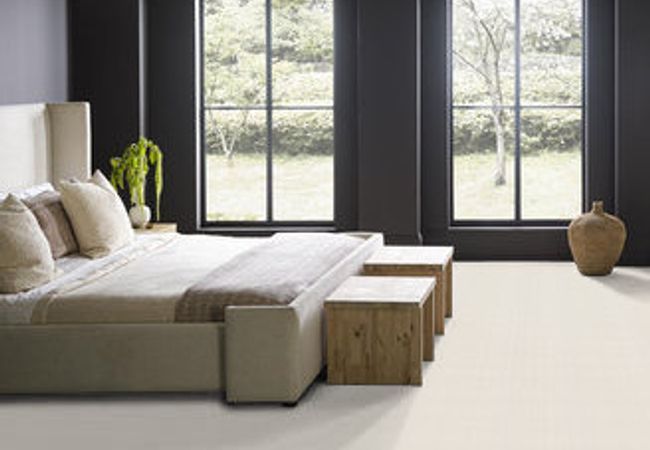 Anderson Tuftex San Lucas White Blush view 3