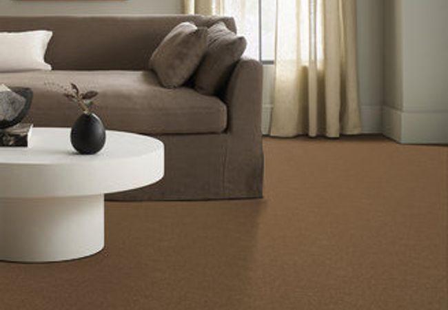 Anderson Tuftex Serendipity I Bronze Glow view 2