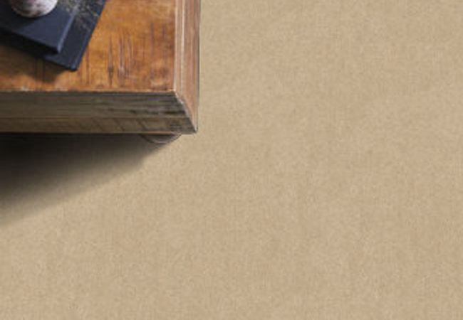 Anderson Tuftex Serendipity I Dream Dust view 2