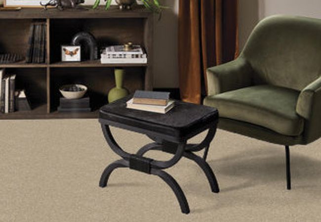 Anderson Tuftex Serendipity I Oyster view 2