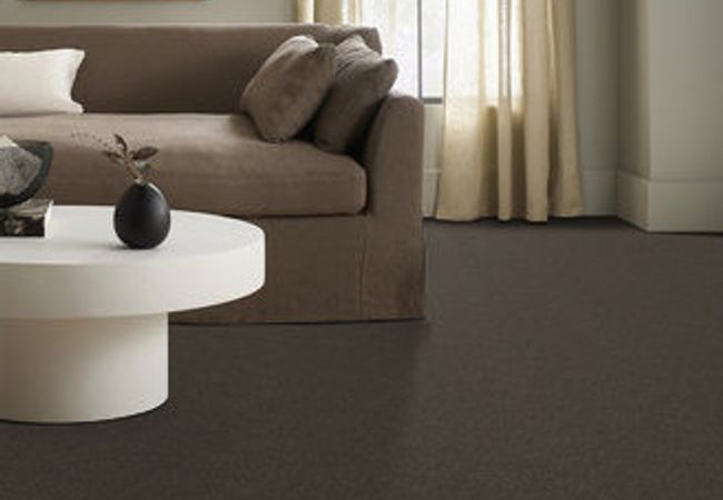 Anderson Tuftex Serendipity I Smoked Pearl view 2