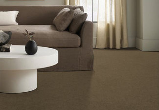 Anderson Tuftex Serendipity I Vicuna view 2