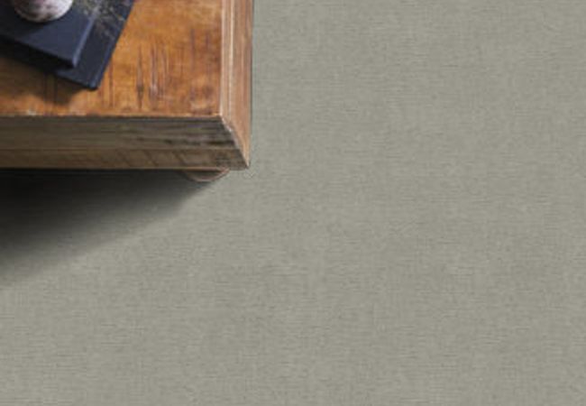 Anderson Tuftex Sketch Gentle Gray view 2