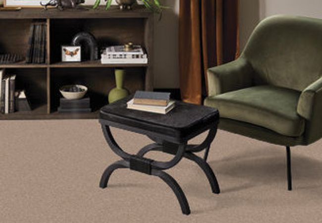 Anderson Tuftex Terra Nova Potter's Clay view 2