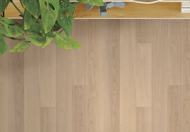 Anderson Tuftex European Ash Carnival view 3