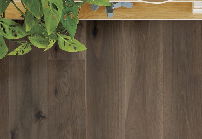 Anderson Tuftex - Transcendence