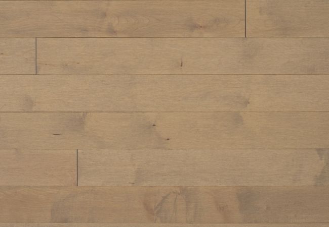 Appalachian Signature Hard Maple Engineered Excel Chardonnay - Semi Gloss - 5"x3/4"