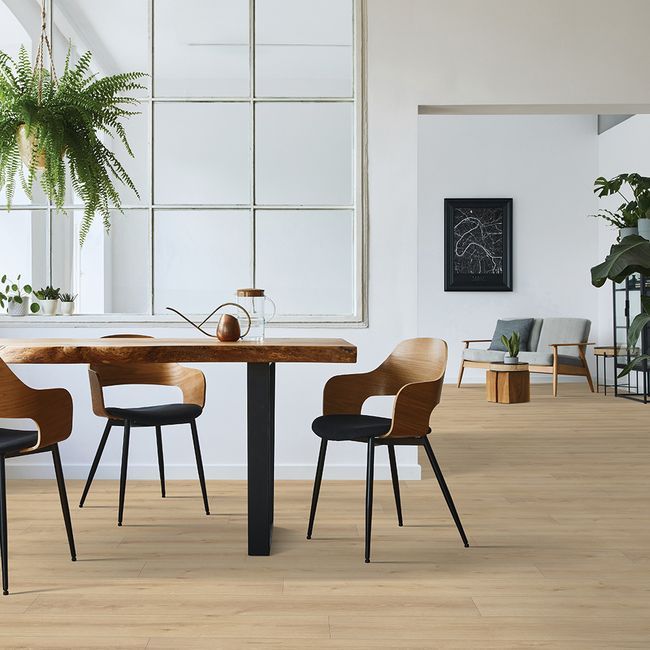 Beaulieu Conquest Xtra Barbarossa 1734 Laminate Flooring view 2